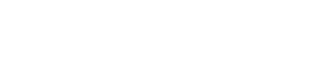 Phoenix Digital Arts