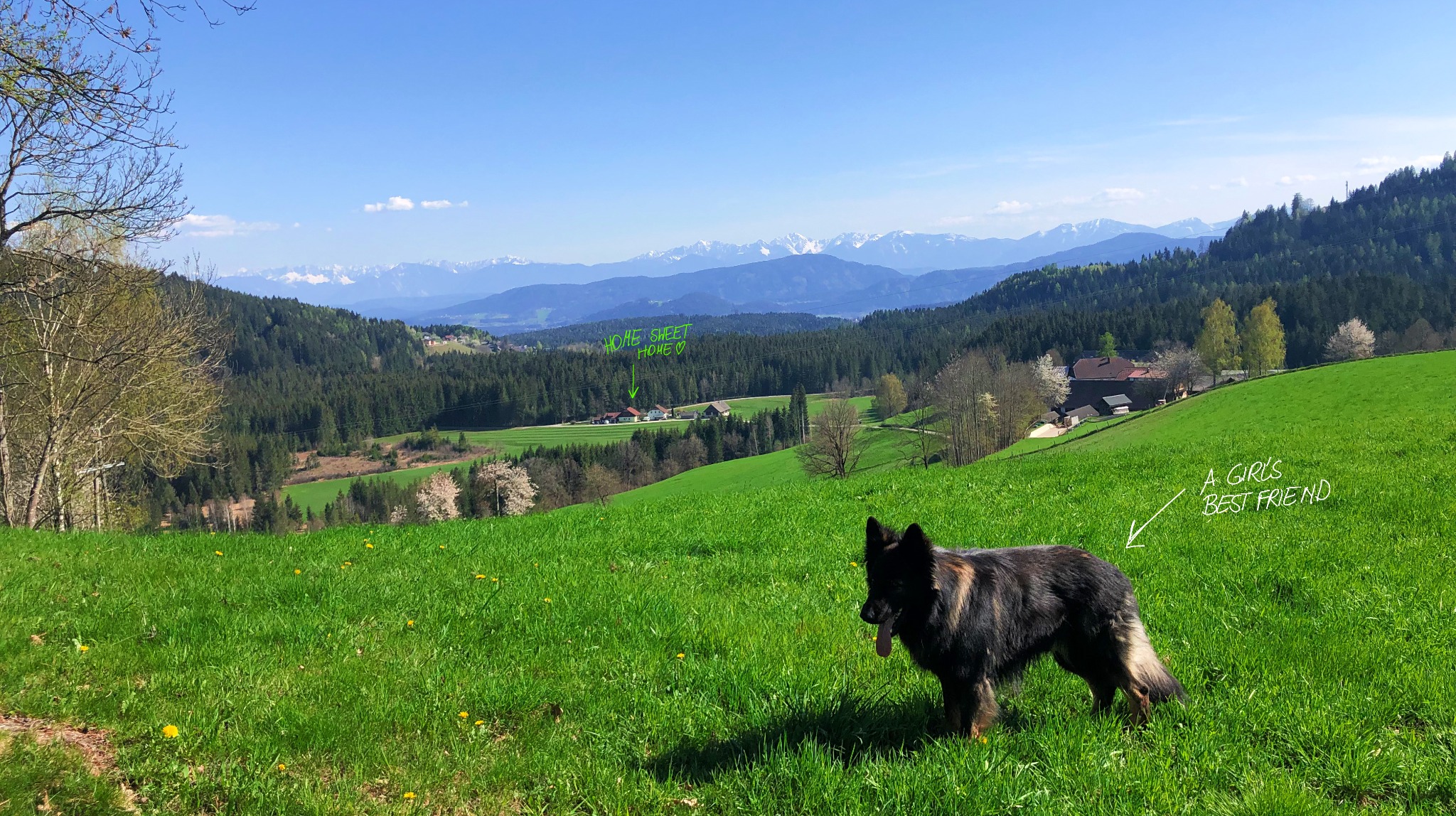 The clearing in the mountains of southern Austria